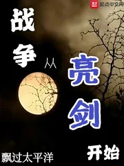 《战争从亮剑开始》小说封面