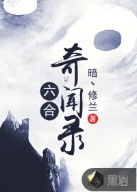 《六合奇闻录》小说封面