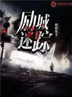 《励城迷踪》小说封面