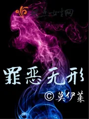 《罪恶无形》小说封面