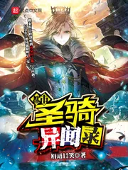《都市圣骑异闻录》小说封面