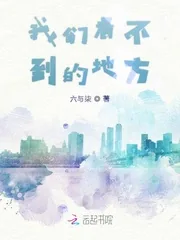《我们看不到的地方》小说封面