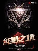 《纯黑之境》小说封面