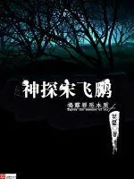 《神探宋飞鹏》小说封面