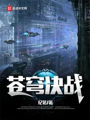 《苍穹决战》小说封面
