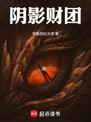 《阴影财团》小说封面