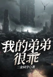 《我的弟弟很乖》小说封面