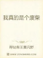 《我真的是个废柴》小说封面