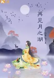 《再见月之湖》小说封面