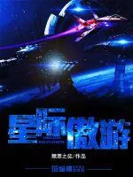 《星际傲游》小说封面