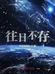 《往日不存》小说封面