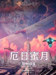 《厄日蜜月》小说封面