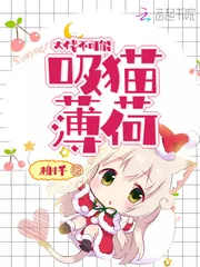 《大佬不可能吸猫薄荷》小说封面