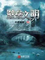 《壁垒文明》小说封面