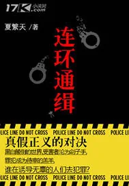 《连环通缉》小说封面