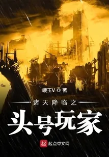 《诸天降临之头号玩家》小说封面
