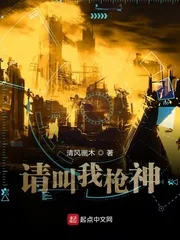 《请叫我枪神》小说封面