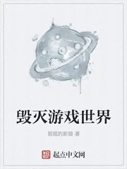 《毁灭游戏世界》小说封面
