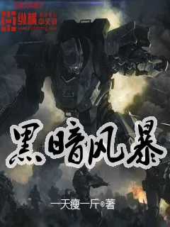 《黑暗风暴》小说封面