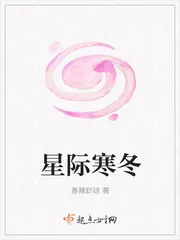 《星际寒冬》小说封面