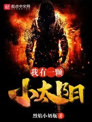 《我有一颗小太阳》小说封面