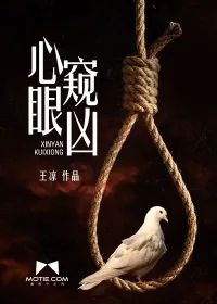 《心眼窥凶》小说封面