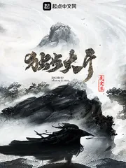 《独步大千》小说封面