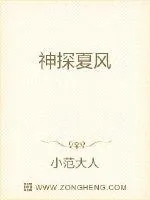 《神探夏风》小说封面