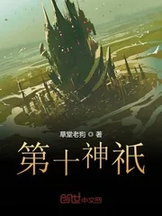 《第十神祇》小说封面