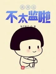 《我再也不太监啦》小说封面