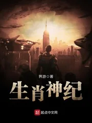 《生肖神纪》小说封面