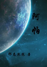 《阿帕》小说封面