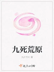 《九死荒原》小说封面