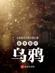 《能穿越的乌鸦》小说封面