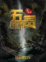 《五灵秘录》小说封面