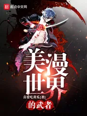 《美漫世界的武者》小说封面