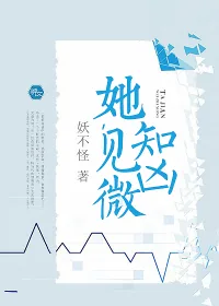 《她，见微知凶。》小说封面