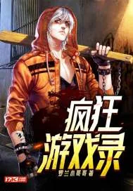《疯狂游戏录》小说封面