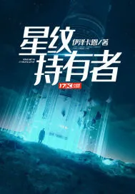《星纹持有者》小说封面