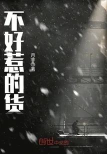 《不好惹的货》小说封面