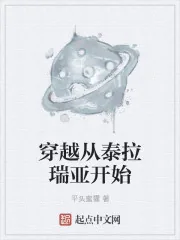《穿越从泰拉瑞亚开始》小说封面