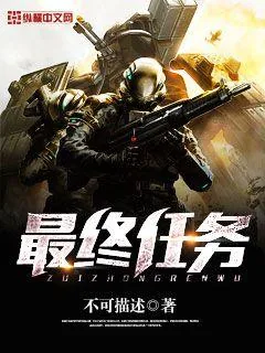 《最终任务》小说封面