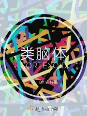 《类脑体》小说封面