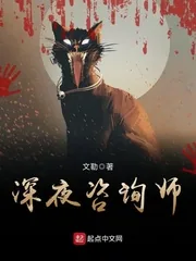 《深夜咨询师》小说封面