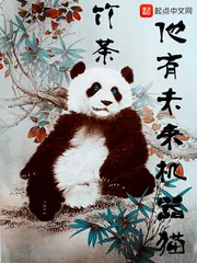 《他有未来机器猫》小说封面