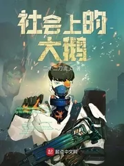 《社会上的大鹅》小说封面