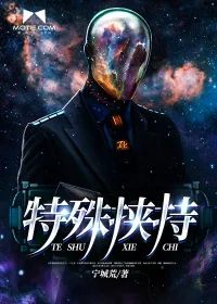 《特殊挟持》小说封面