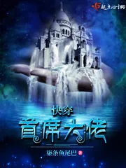 《快穿:首席大佬》小说封面