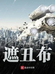 《遮丑布》小说封面