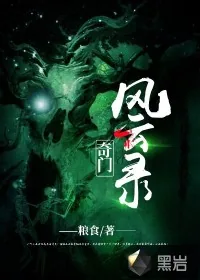 《奇门风云录》小说封面